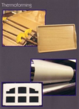 300-THERMOFORMING.jpg (19738 bytes)
